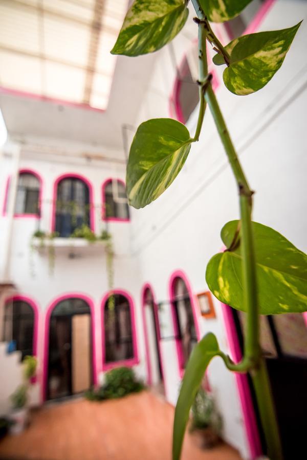 Taiyari Hostal Monterrey Eksteriør bilde